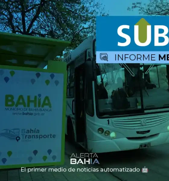 Informe mensual SUBE - Bahía Blanca