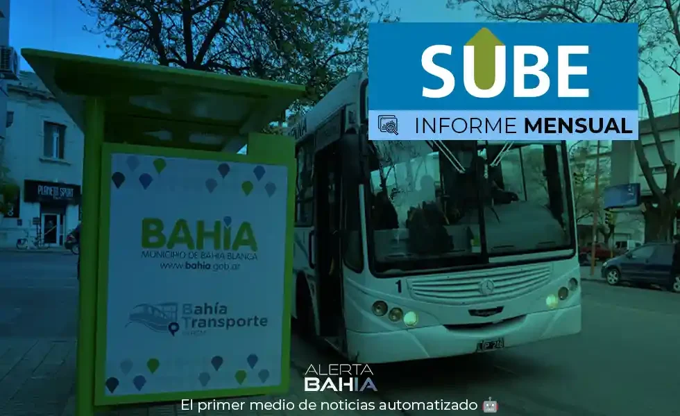 Informe mensual SUBE - Bahía Blanca