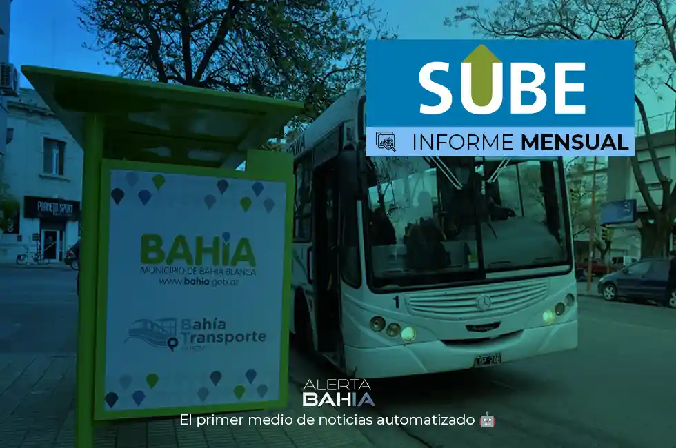Informe mensual SUBE - Bahía Blanca