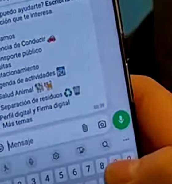 Bahia Responde - Informes