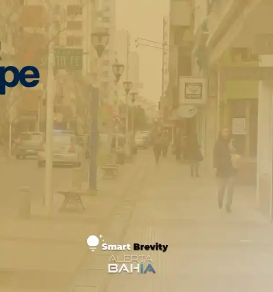 Noticias de Bahía Blanca - Apepe