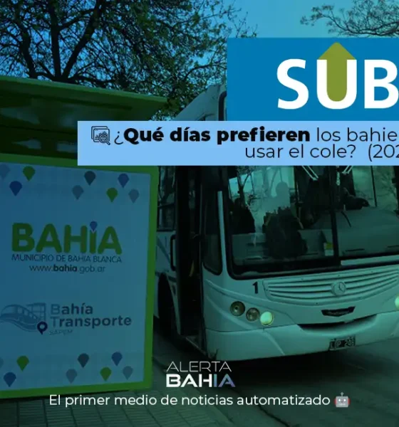Uso del colectivo en Bahía Blanca: ¿Cuáles son los días preferidos para usar el transporte público?
