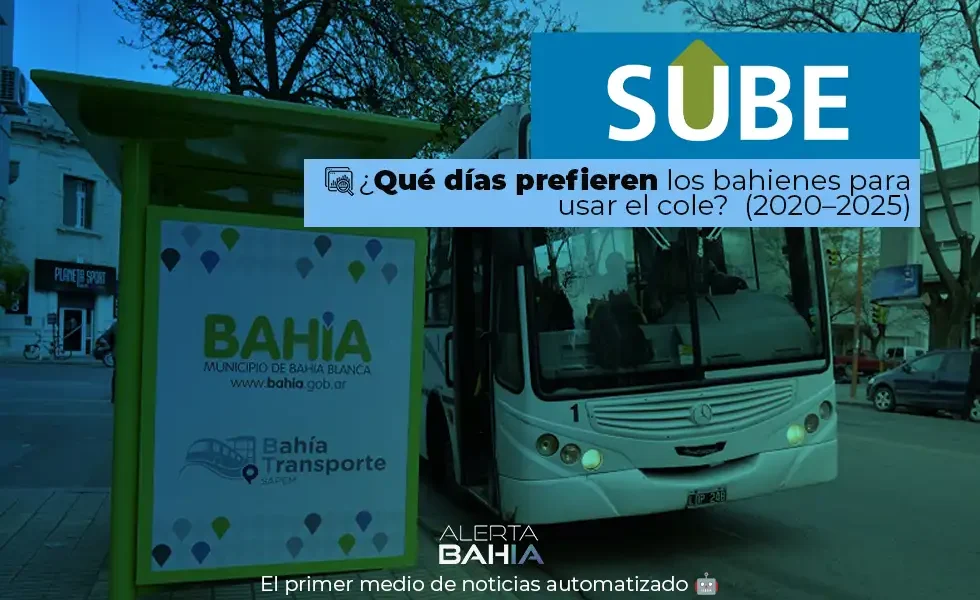 Uso del colectivo en Bahía Blanca: ¿Cuáles son los días preferidos para usar el transporte público?