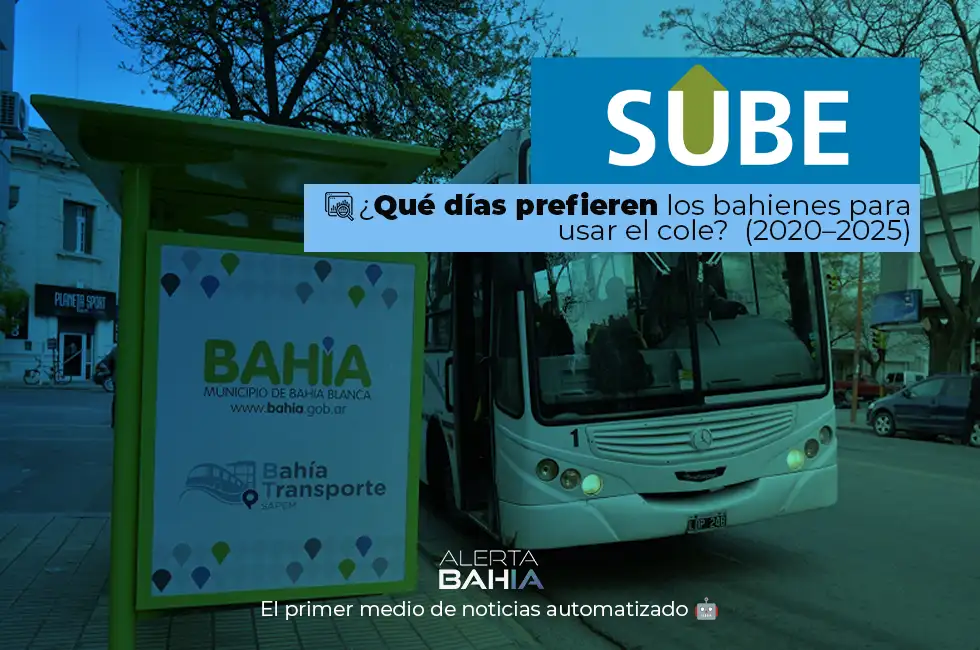 Uso del colectivo en Bahía Blanca: ¿Cuáles son los días preferidos para usar el transporte público?