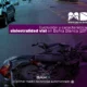 Informe: Evolución y características de la siniestralidad vial en Bahía Blanca (2011–2025)
