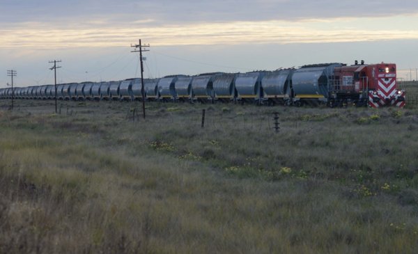 Desatender el ferrocarril posterga el desarrollo territorial en Bahía Blanca.
