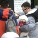 El rol de las mascotas en la familia: un lazo profundo y duradero