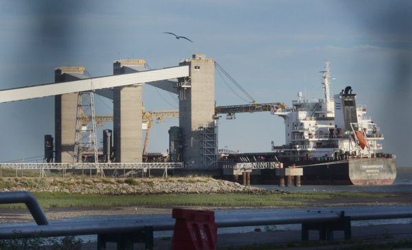 Impulso en la exportación de granos: crecimiento del 5,9% en primer semestre del 2025.