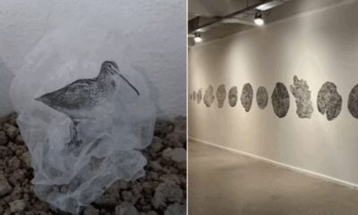 Inauguran exposición en CABA con obras de artistas de Bahía Blanca y Dorrego.