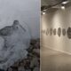 Inauguran exposición en CABA con obras de artistas de Bahía Blanca y Dorrego.
