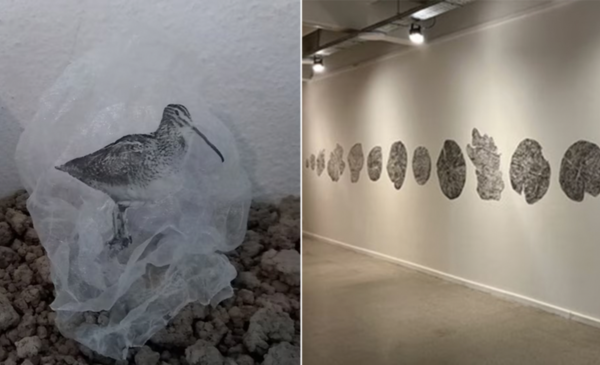 Inauguran exposición en CABA con obras de artistas de Bahía Blanca y Dorrego.