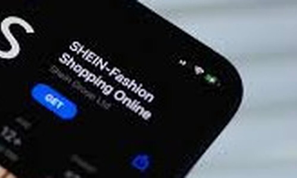 Miguel Ángel Pichetto propone veto a Shein en la Argentina.