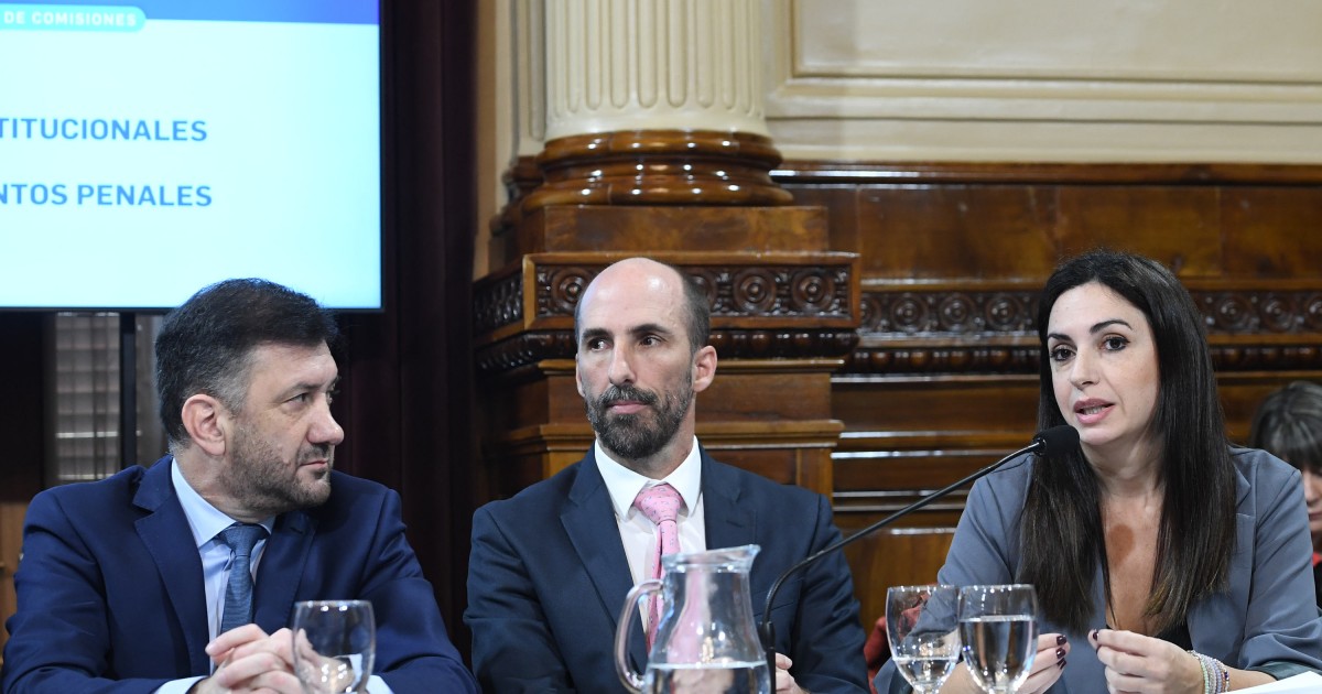 Milei postula a funcionaria de la DINE como candidata en la Provincia, generando controversia.