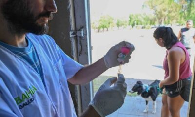 Nuevos servicios de atención para mascotas en Bahía Blanca.