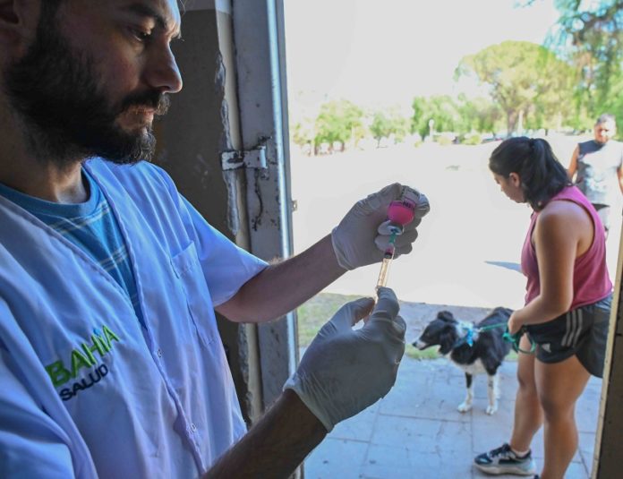 Nuevos servicios de atención para mascotas en Bahía Blanca.