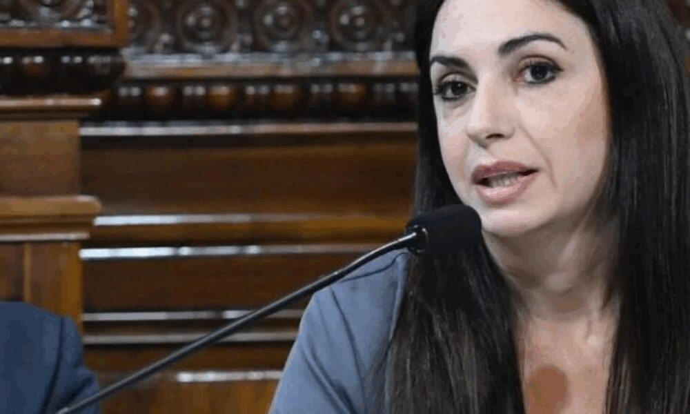 Renuncia de candidata de Milei a cargo clave en Dirección Electoral: ¿qué implicancias tiene?
