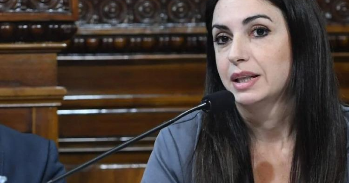 Renuncia de candidata de Milei a cargo clave en Dirección Electoral: ¿qué implicancias tiene?
