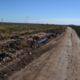 Suspensión de trabajos en caminos rurales de Bahía por falta de fondos.