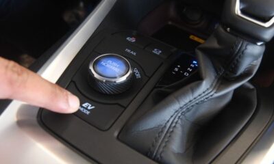 Venta de autos eléctricos en Bahía Blanca se mantiene estable: se vendieron 53 unidades en el primer semestre de 2025, cifra similar a 2024.
